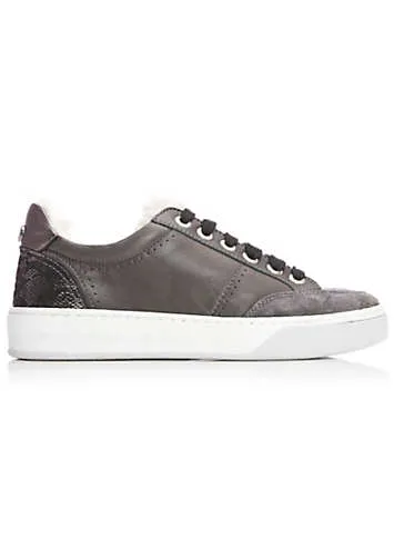 Agitha Grey Pewter Shearling Trim Trainers by Moda In Pelle | Look Again